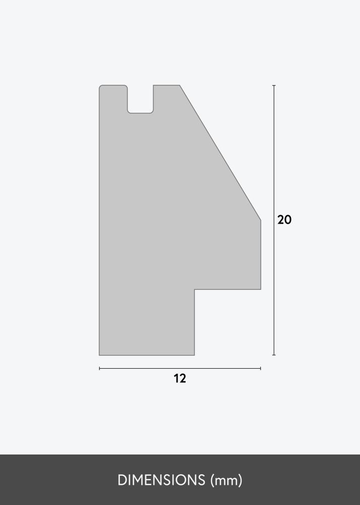 Walther Frame Silhouette Black 10x15 cm