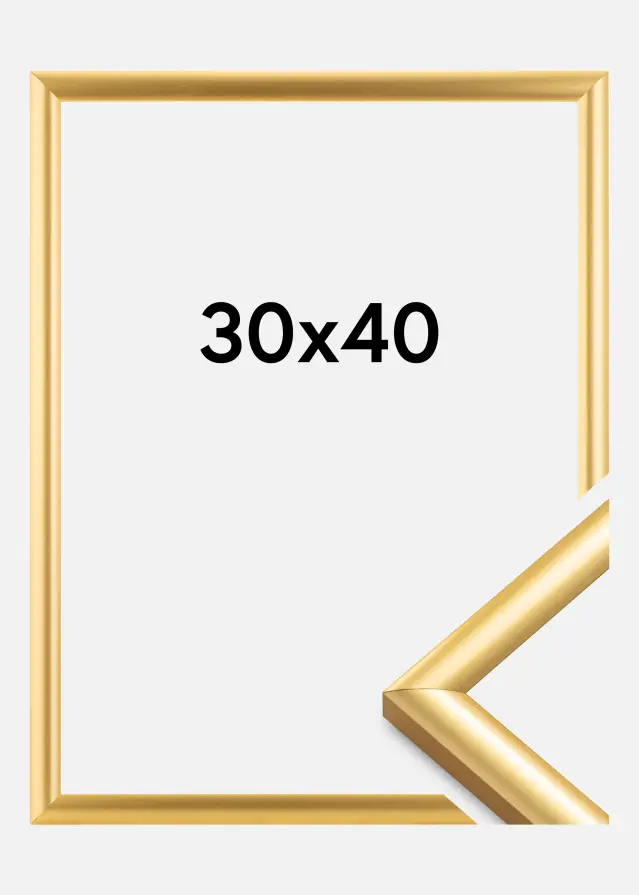 Walther Frame Trendstyle Gold 30x40 cm