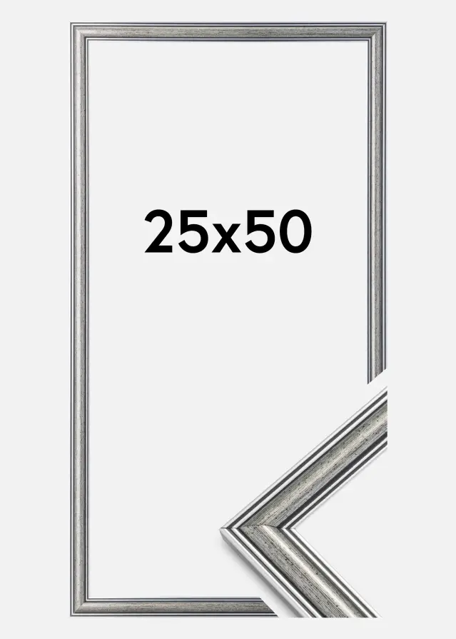 Artlink Frame Frigg Silver 25x50 cm
