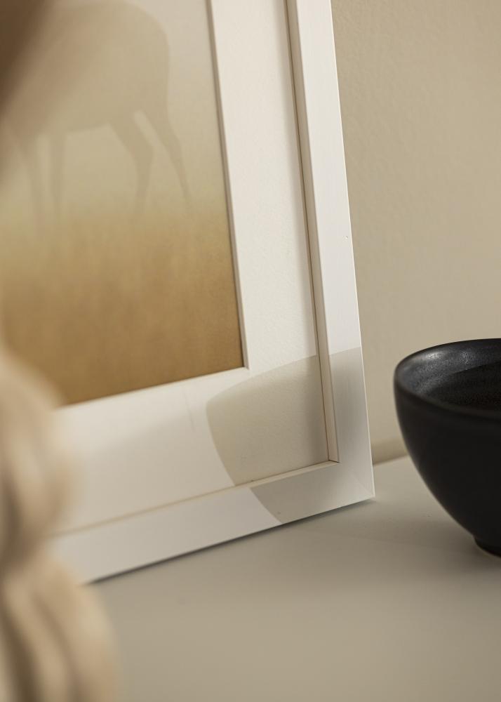 Galleri 1 Frame White Wood Acrylic glass 20x40 cm