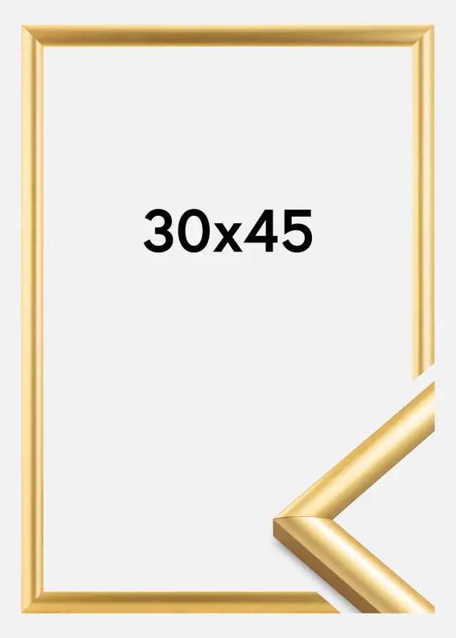 Walther Frame Trendstyle Gold 30x45 cm
