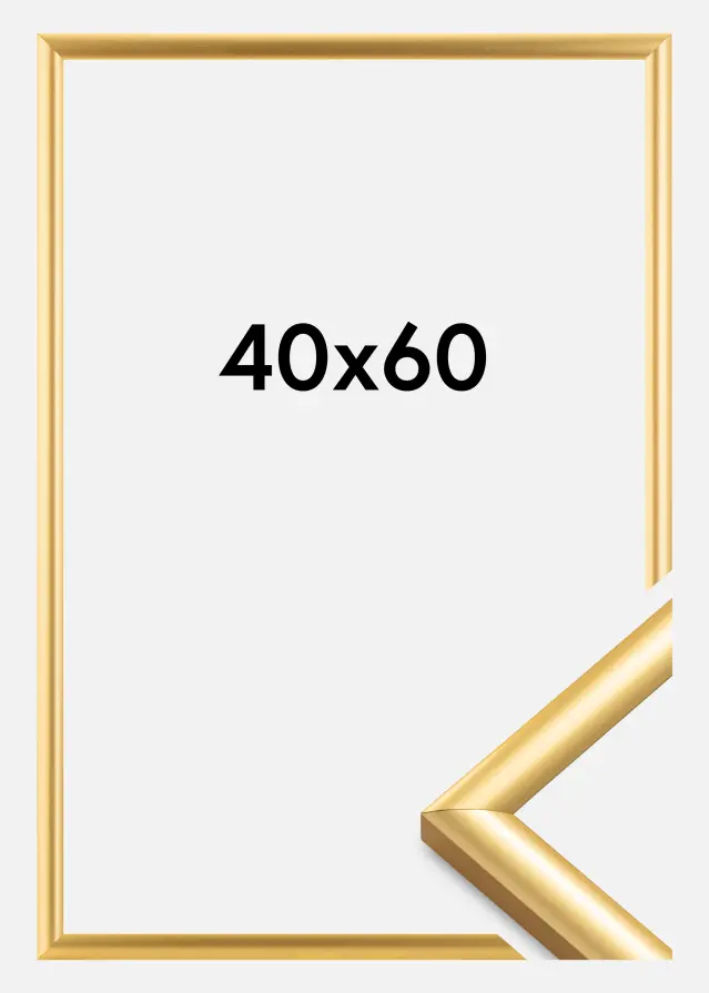 Walther Frame Trendstyle Gold 40x60 cm