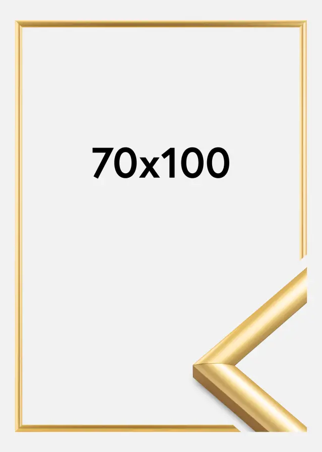 Walther Frame Trendstyle Gold 70x100 cm