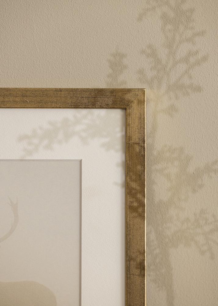 Estancia Frame Stilren Acrylic glass Gold 21x29,7 cm (A4)