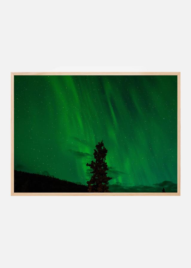 Bildverkstad Northern lights Poster