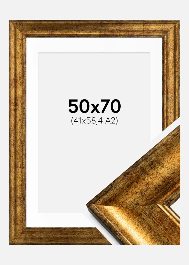 Ram med passepartou Frame Saltsjöbaden Gold 50x70 cm - Picture Mount White 42x59.4 cm (A2)