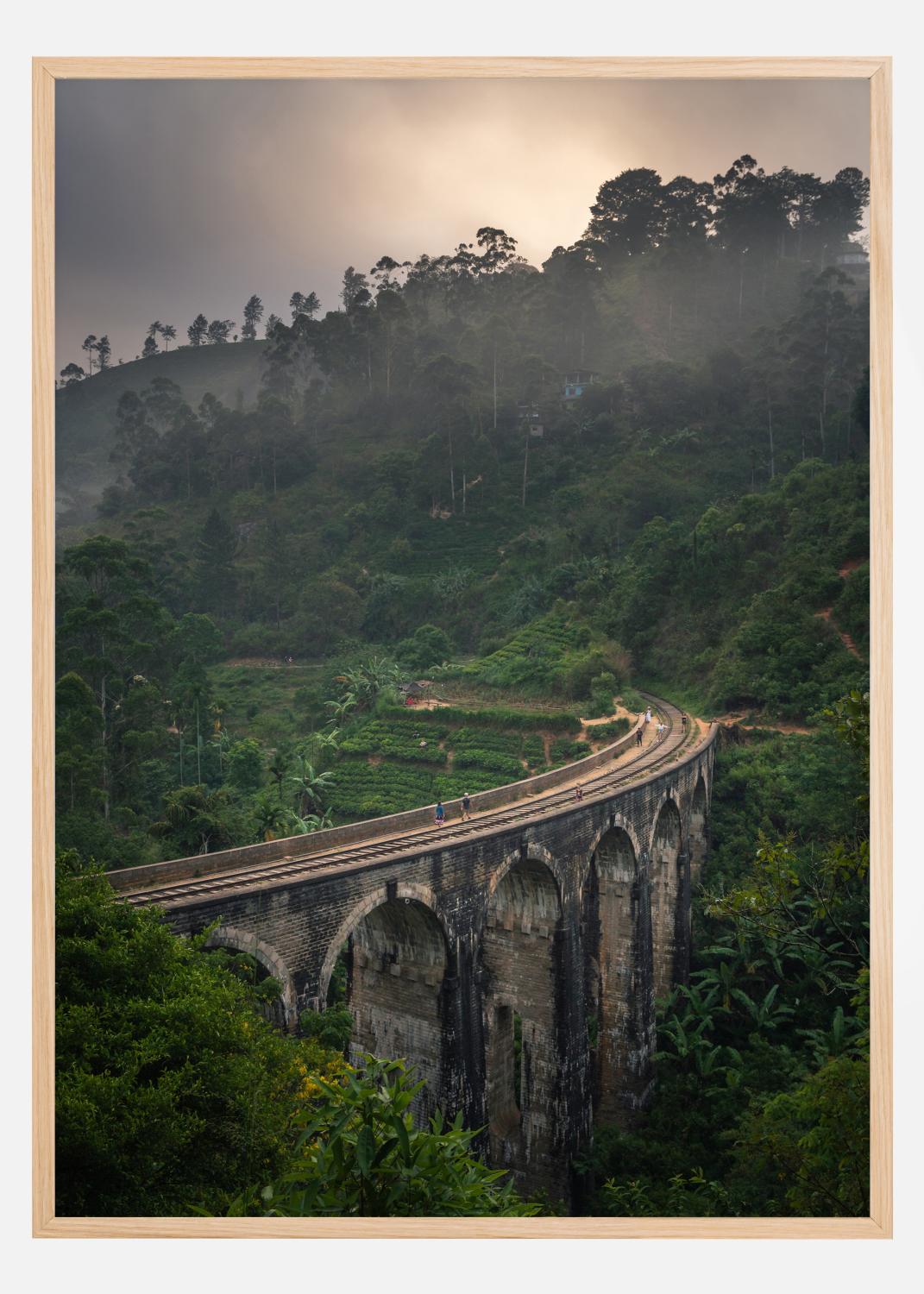 Product Image for Jungle train rails Poster (21x29.7 cm (A4))