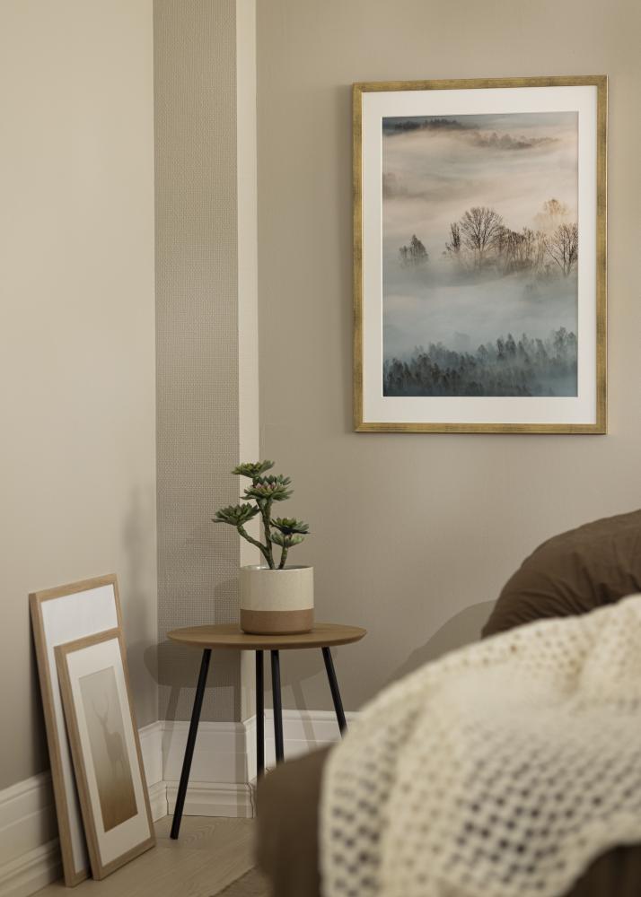 Estancia Frame Stilren Acrylic glass Gold 21x29,7 cm (A4)