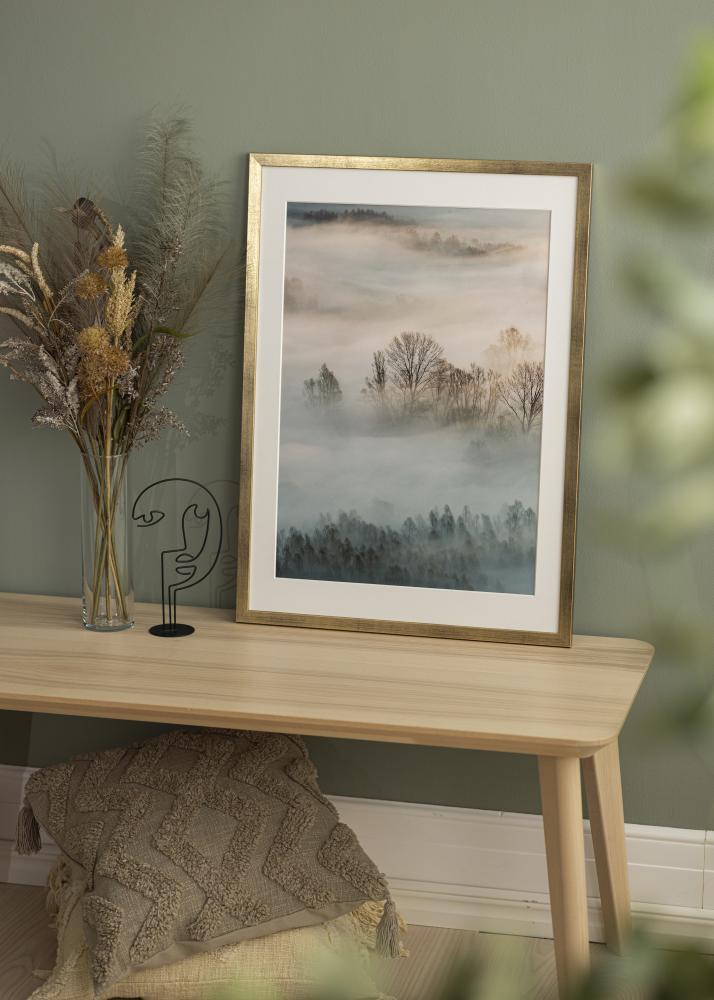 Estancia Frame Stilren Acrylic glass Gold 21x29,7 cm (A4)
