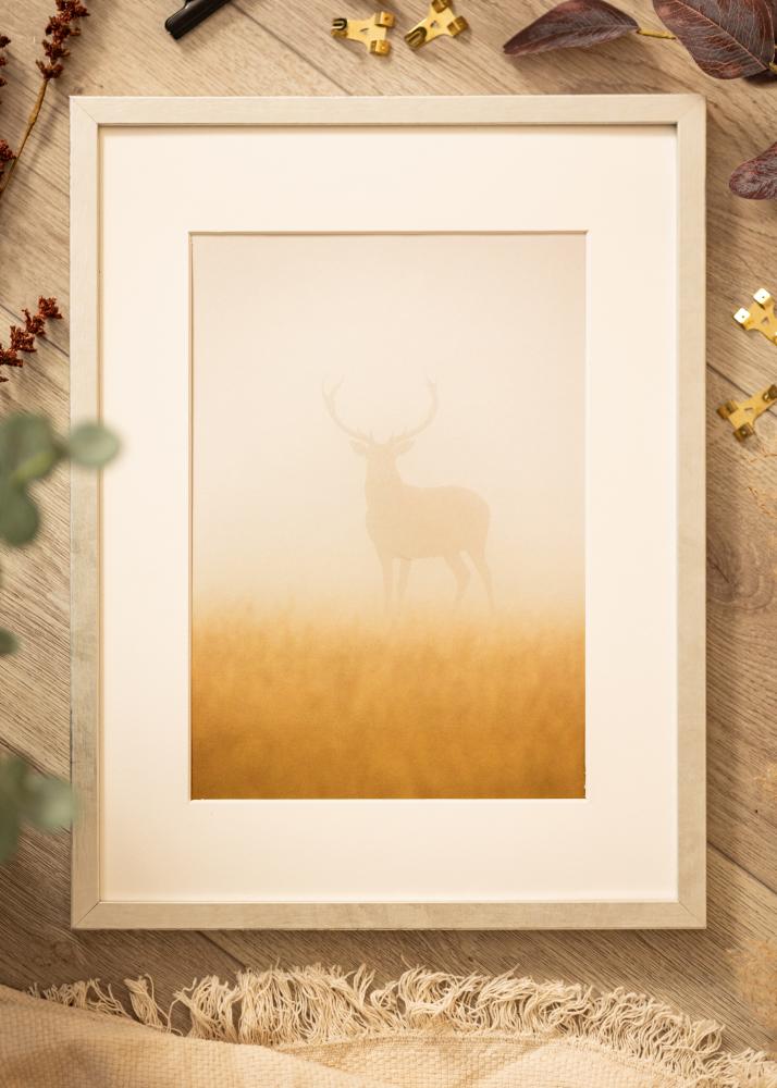 Mavanti Frame Ares Acrylic Glass Silver 28x35 cm
