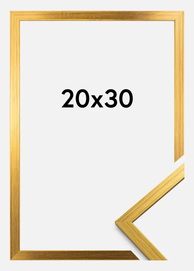 Galleri 1 Frame Edsbyn Gold 20x30 cm