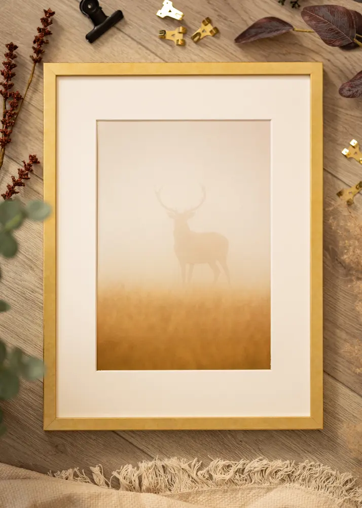 Mavanti Frame Ares Acrylic Glass Gold 29.7x42 cm (A3)