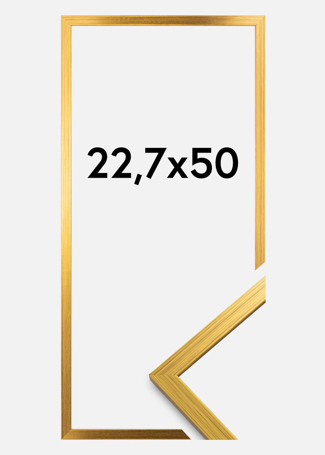 Product Image for Frame Edsbyn Acrylic glass Gold 22.7x50 cm