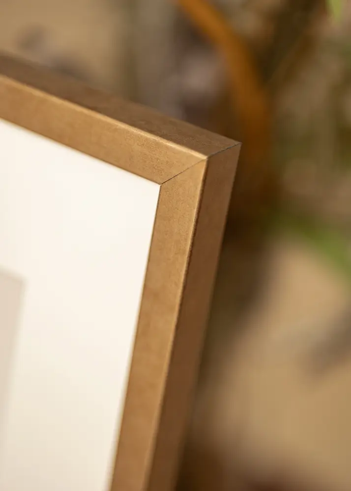 Mavanti Frame Ares Acrylic Glass Brass 28x35 cm