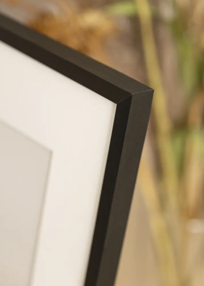 Walther Frame Chair Black 30x45 cm