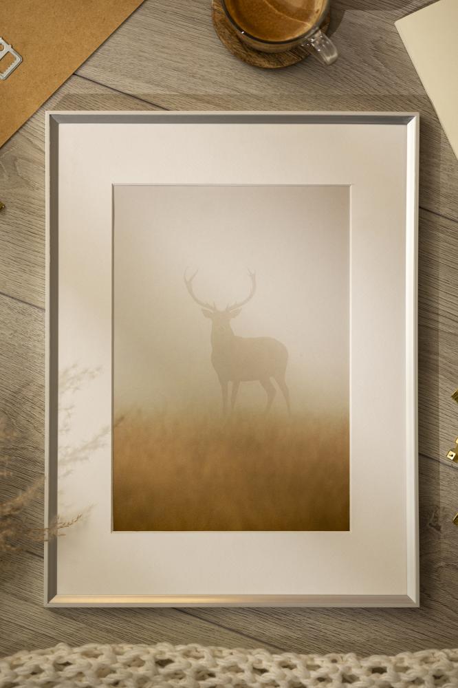 Ram med passepartou Frame Desire Silver 13x18 cm - Picture Mount White 10x12 cm