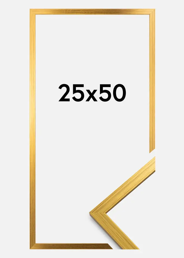 Galleri 1 Frame Edsbyn Acrylic glass Gold 25x50 cm