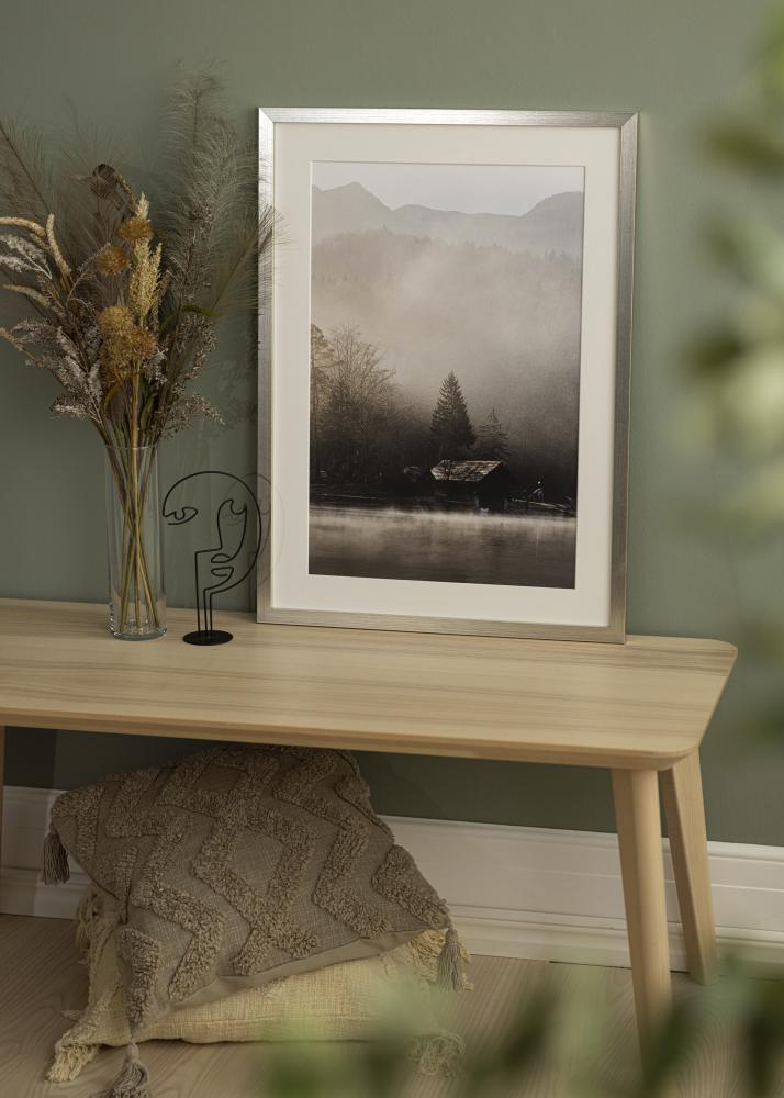 Galleri 1 Frame Silver Wood Acrylic glass 20x40 cm
