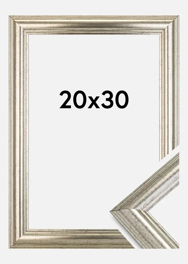 Galleri 1 Frame Västkusten Silver 20x30 cm