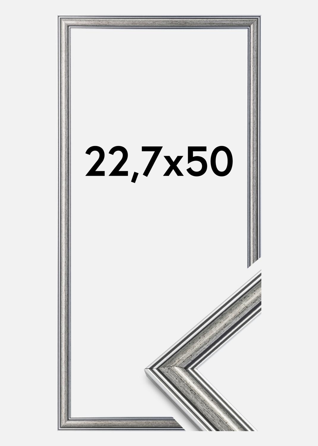 Product Image for Frame Frigg Silver 22,7x50 cm