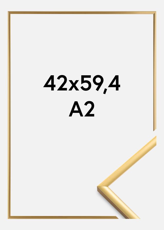 BGA Frame New Lifestyle Acrylic Glass Shiny Gold 42x59.4 cm (A2)