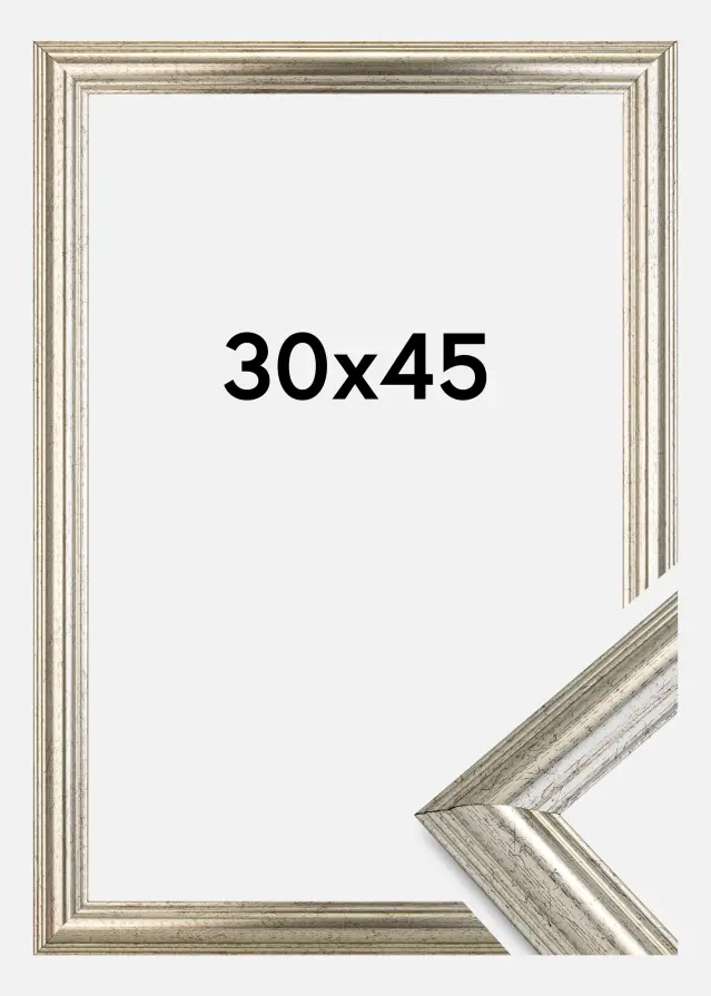 Galleri 1 Frame West coast Silver 30x45 cm