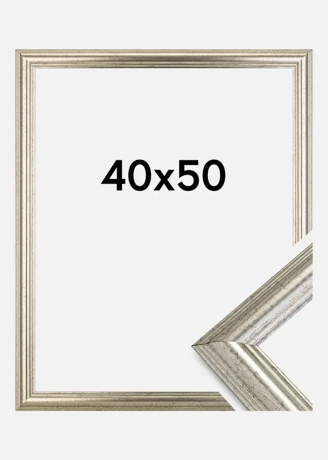 Galleri 1 Frame Västkusten Silver 40x50 cm