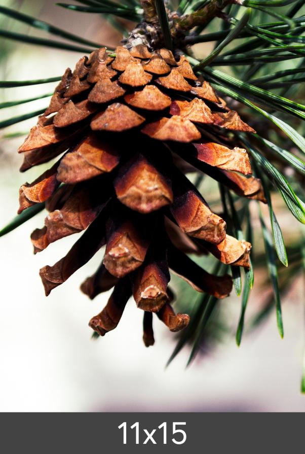 Egen tillverkning - Kundbild Photo Print Fine Art Bambu 290 g