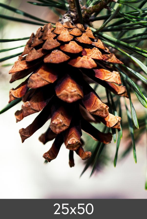 Egen tillverkning - Kundbild Photo Print Fine Art Bambu 290 g