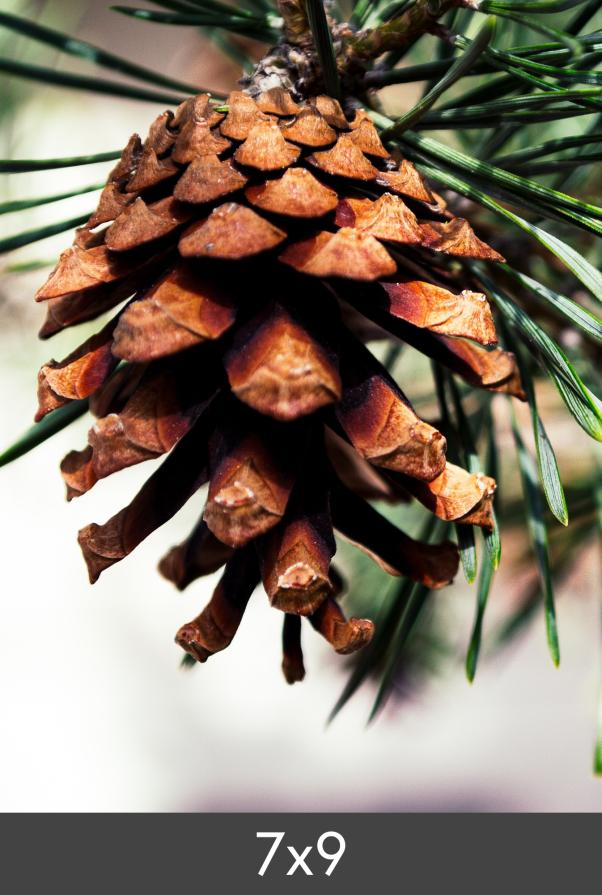 Egen tillverkning - Kundbild Photo Print Fine Art Bambu 290 g