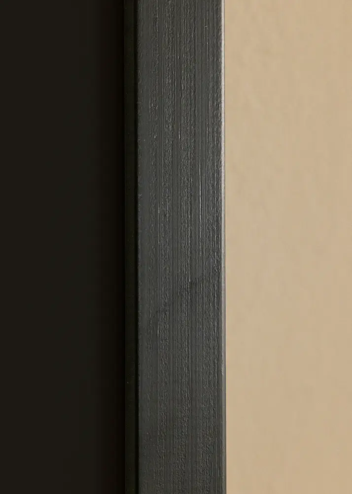 Ram med passepartou Frame Trendline Black 42x59.4 cm (A2) - Picture Mount Black 25x38 cm