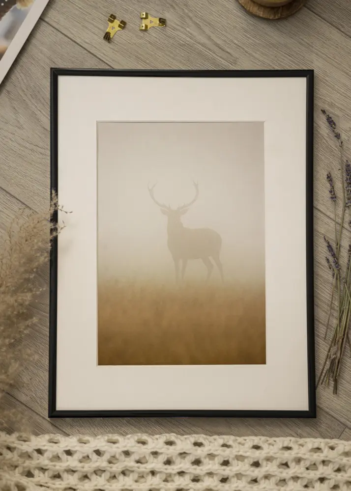 BGA Frame Scandi Acrylic glass Black 32.9x48.3 cm (A3+)