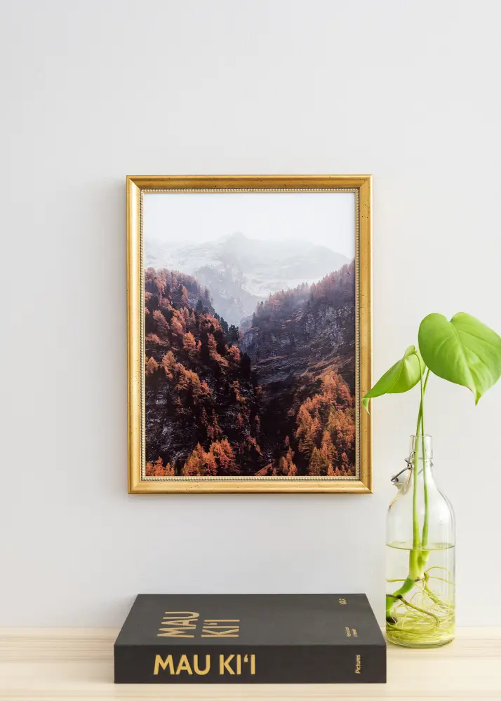Galleri 1 Frame Delighted 60x80 cm