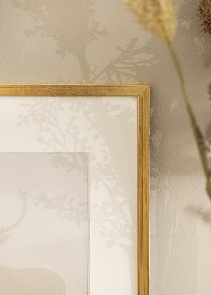 Galleri 1 Frame Edsbyn Acrylic glass Gold 10x12 inches (25.4x30.48 cm)