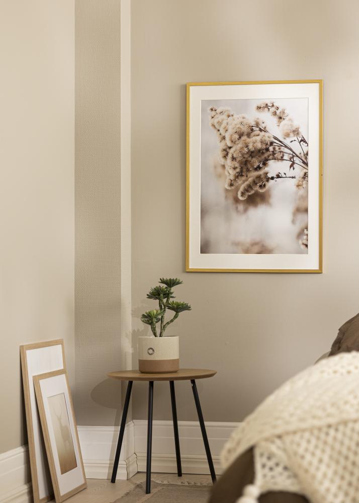 Galleri 1 Frame Edsbyn Acrylic glass Gold 10x12 inches (25.4x30.48 cm)