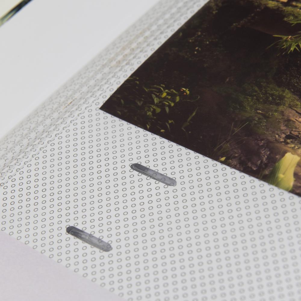 ZEP Cascais - 200 Pictures in 11x15 cm (4,5x6