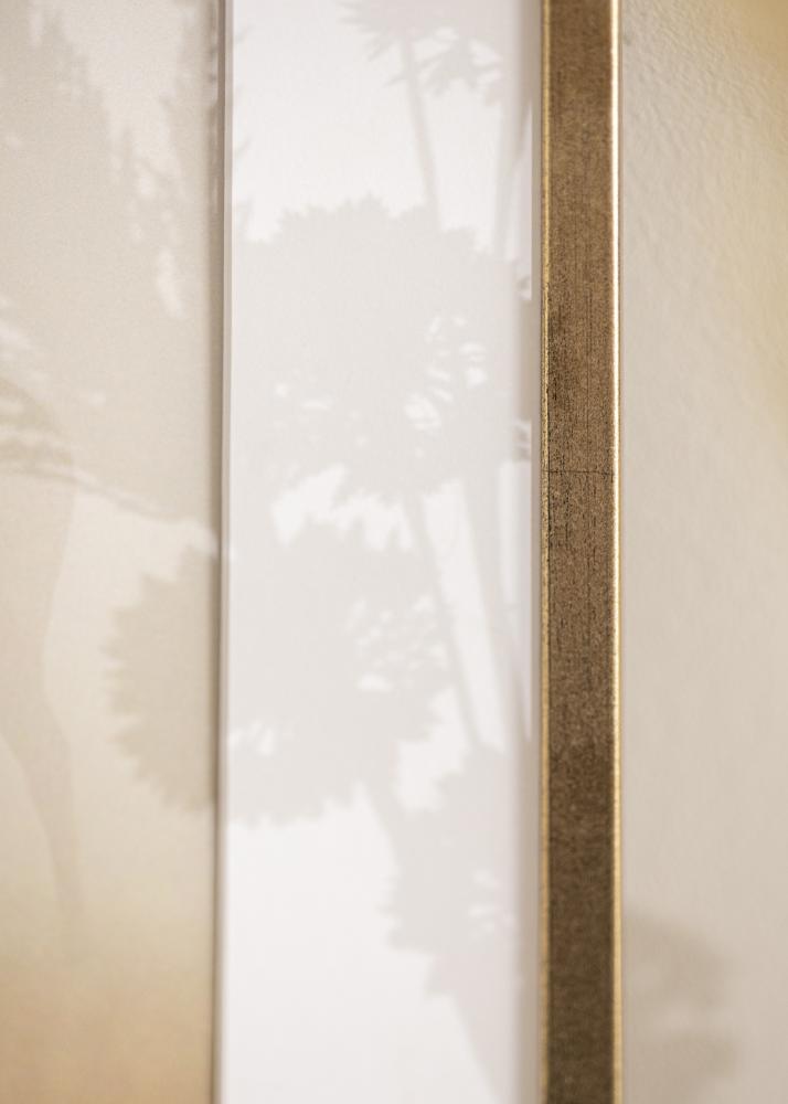 Estancia Frame Gallant Acrylic glass Gold 50x70 cm