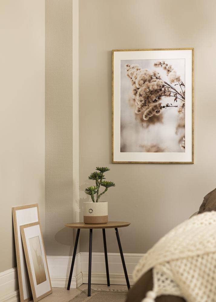 Estancia Frame Gallant Acrylic glass Gold 50x70 cm