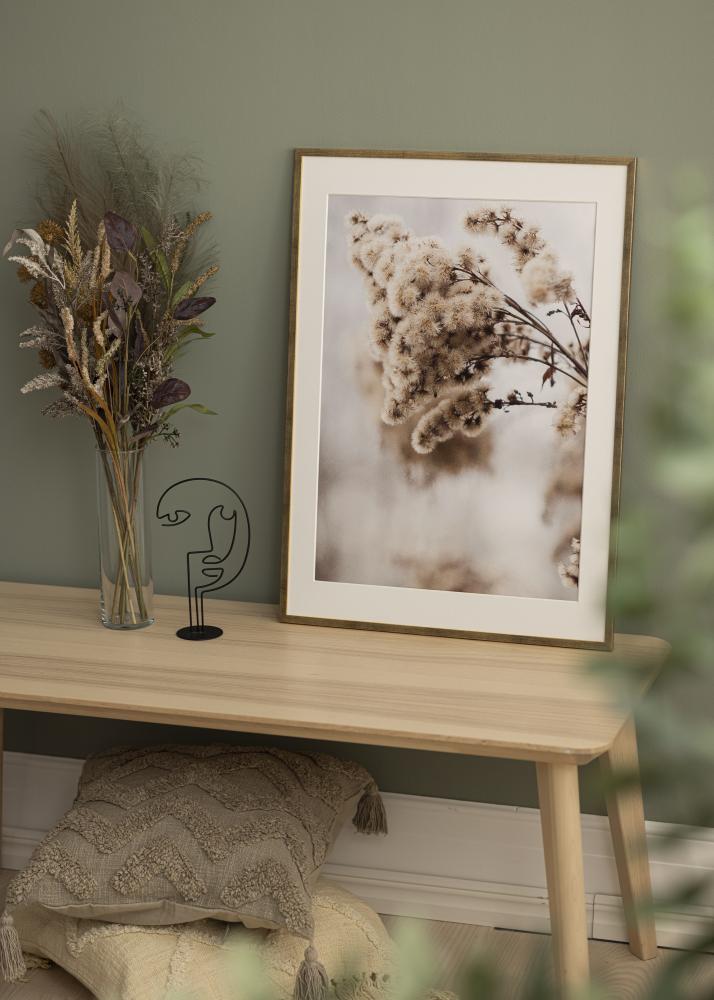 Estancia Frame Gallant Acrylic glass Gold 50x70 cm