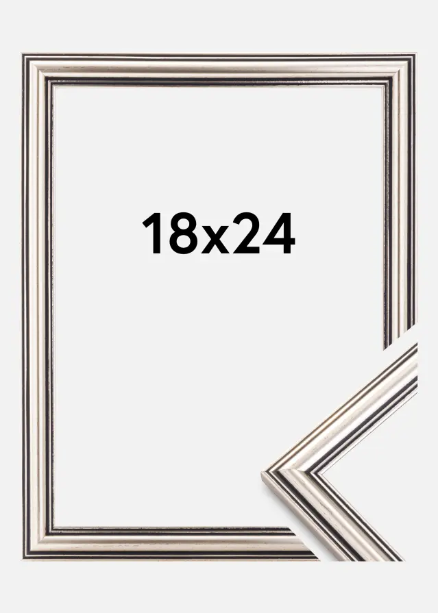 Focus Frame Tango Silver 18x24 cm