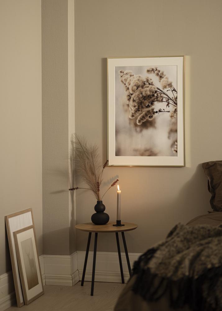 Estancia Frame Aluminium Acrylic glass Glossy Gold 30x40 cm