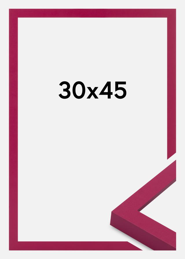 Jämtlands Ramfabrik Frame Selection Acrylic Glass Hot Pink 30x45 cm