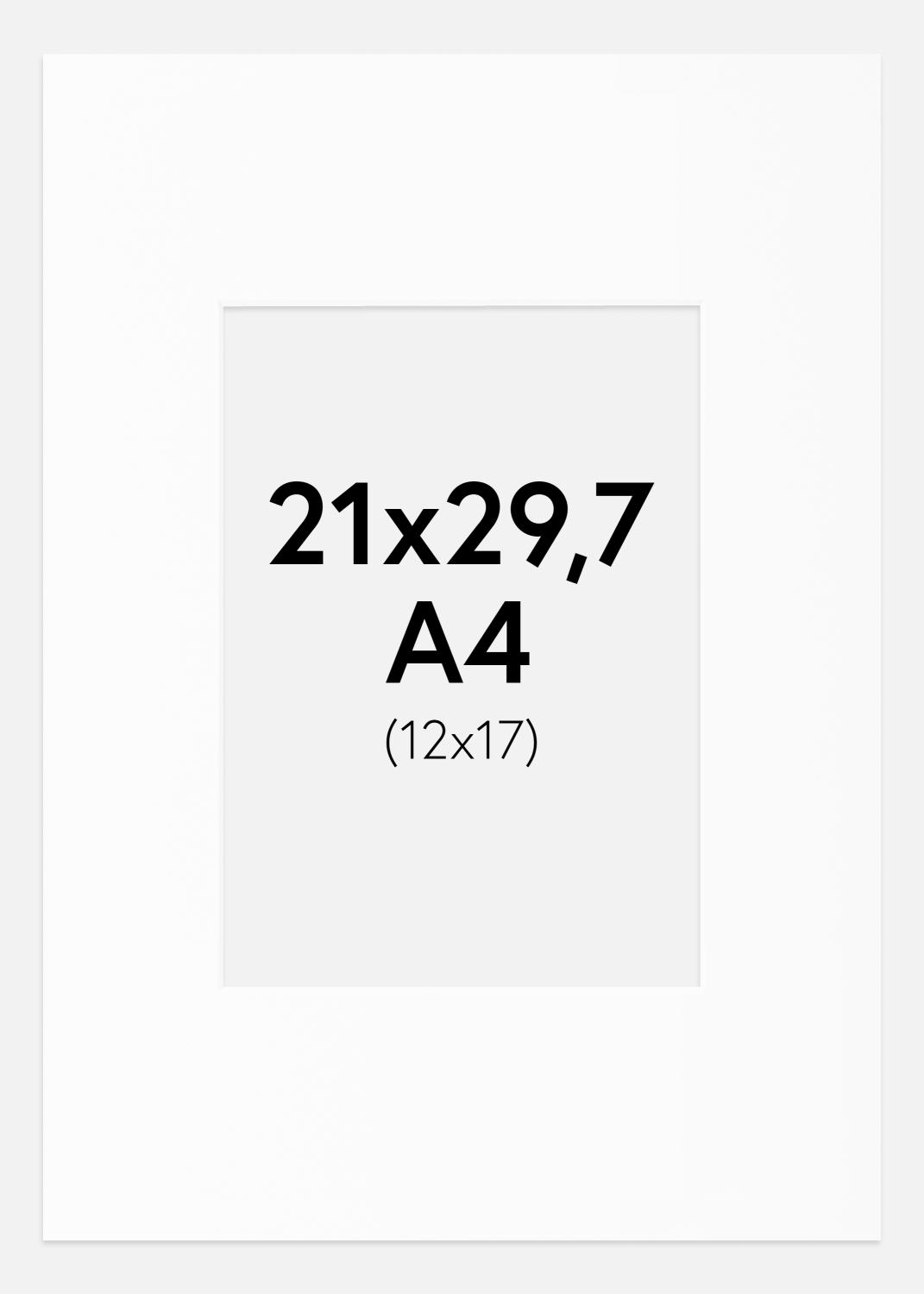 Product Image for Mount White Standard (White Core) A4 21x29.7 cm (12x17)