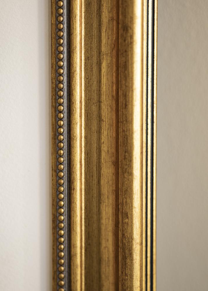 BGA Frame Rokoko Acrylic glass Gold 40x60 cm