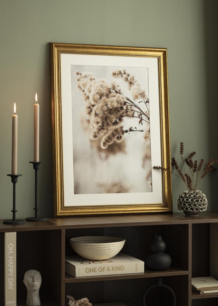 BGA Frame Rokoko Acrylic glass Gold 40x60 cm