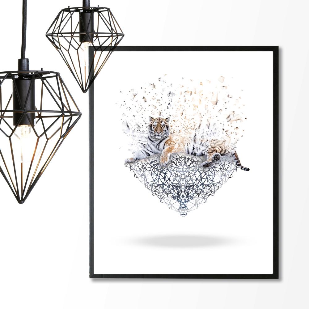 Bildverkstad Evanescent