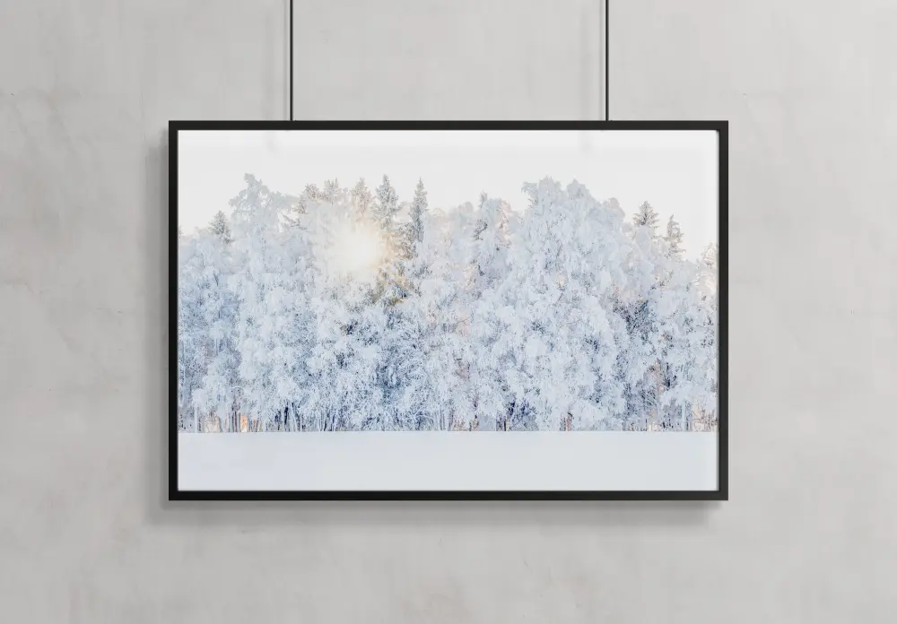 Bildverkstad Winter light Poster