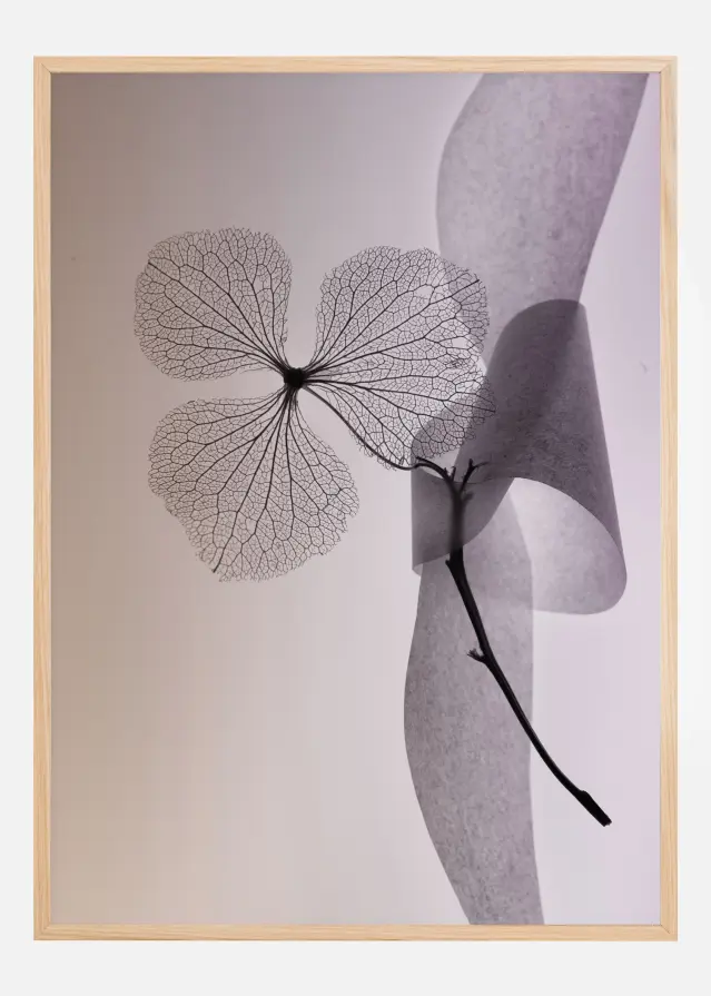 Bildverkstad Flower Poster