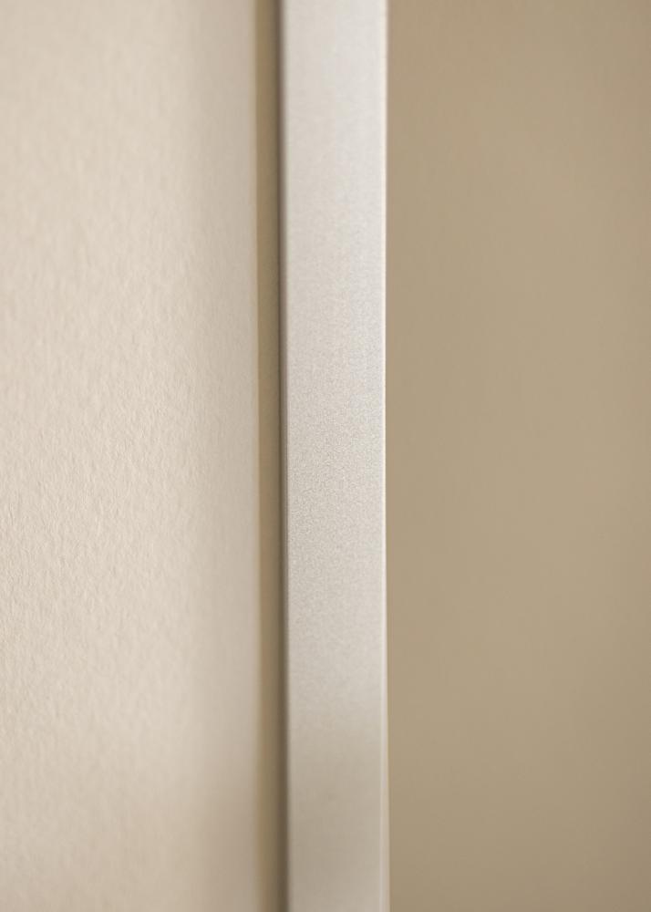 Ramverkstad Mirror Helsingfors Silver - Custom Size