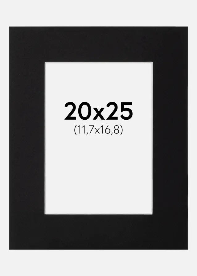 Galleri 1 Mount Canson Black (White Core) 20x25 cm (11,7x16,8)